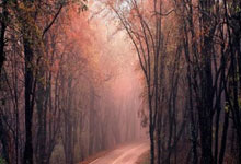 2024欧洲杯西班牙对阵法国，谁更有望晋级决赛？