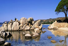 球派体育的NBA直播体验究竟如何？